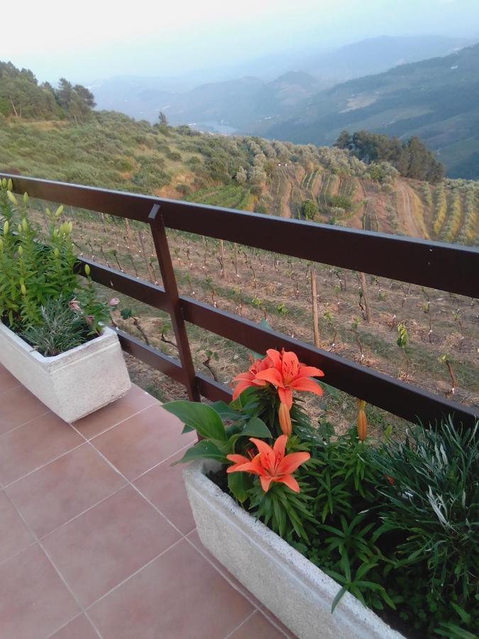 Quinta Pedreira Dos Anjos 호텔 Provesende 외부 사진
